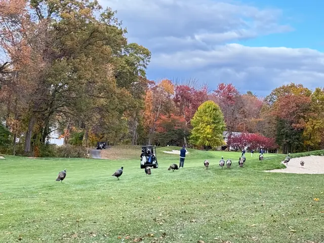 2025 Assman Open photograph 16