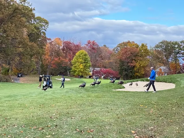 2025 Assman Open photograph 18