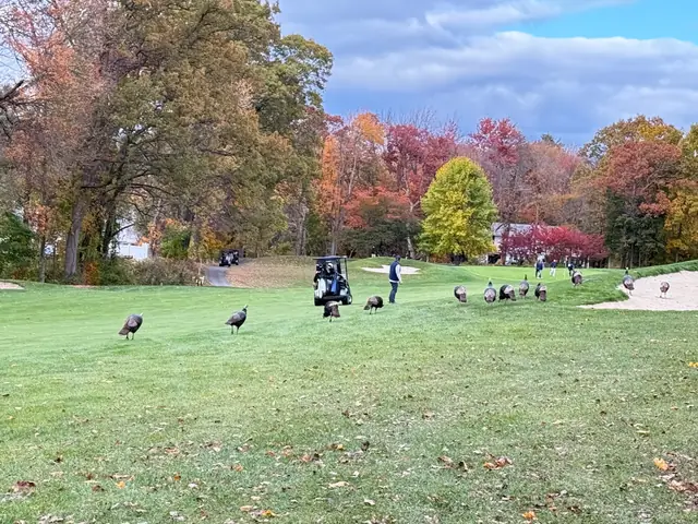 2025 Assman Open photograph 15