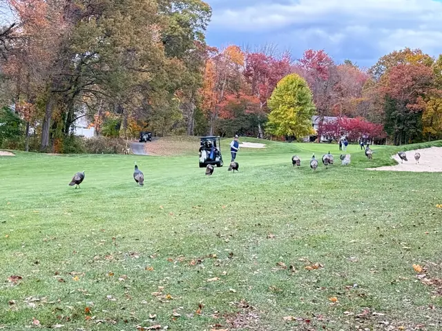 2025 Assman Open photograph 14