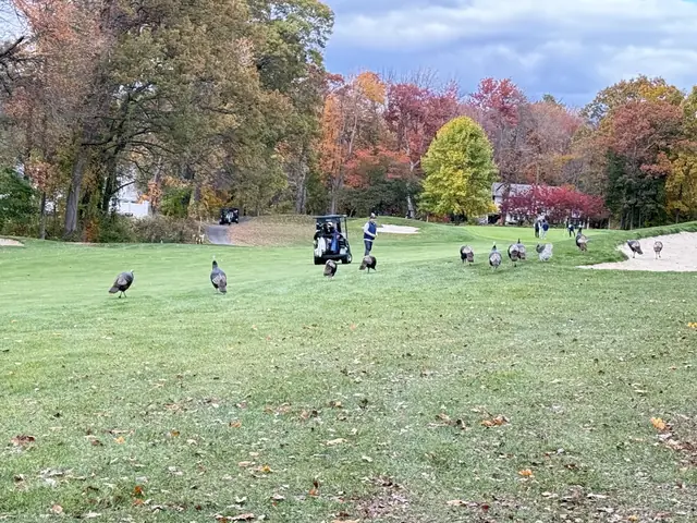 2025 Assman Open photograph 13