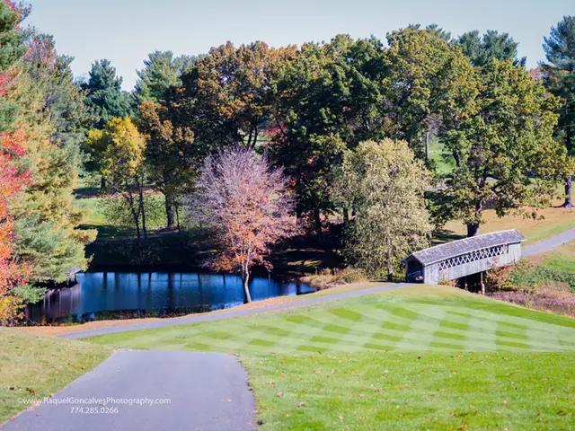 2019 Assman Open photograph 75