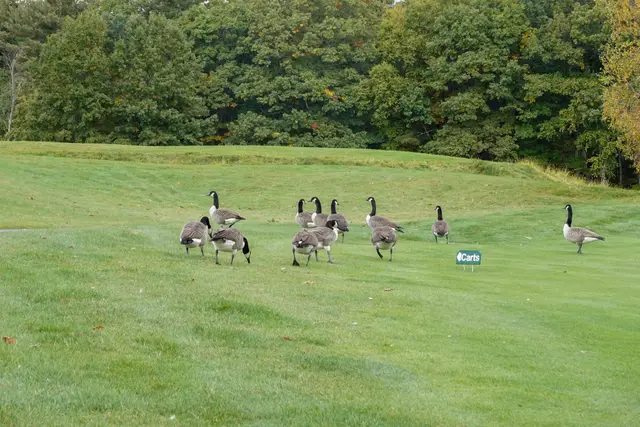 2026 Assman Open photograph 72