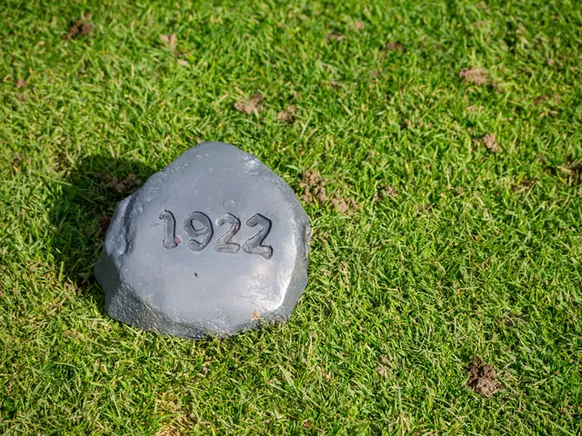 2025 Assman Open photograph 401