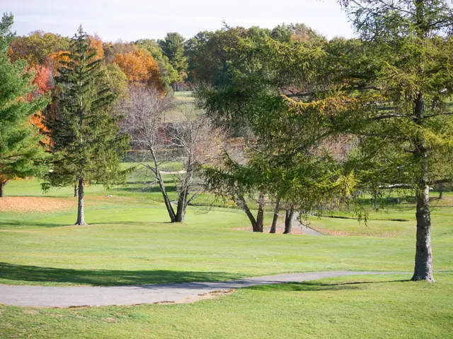 2025 Assman Open photograph 186